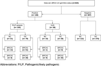 Landscape of germline BRCA1/BRCA2 variants in breast and ovarian cancer in Peru